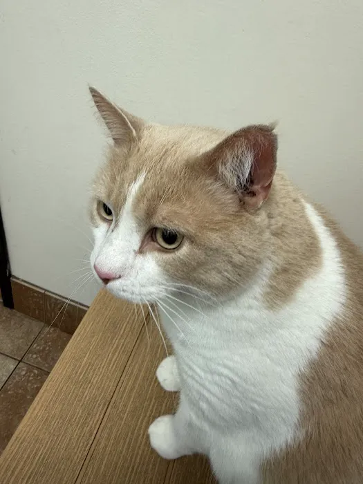 Banfield Pet Hospital Picture 9