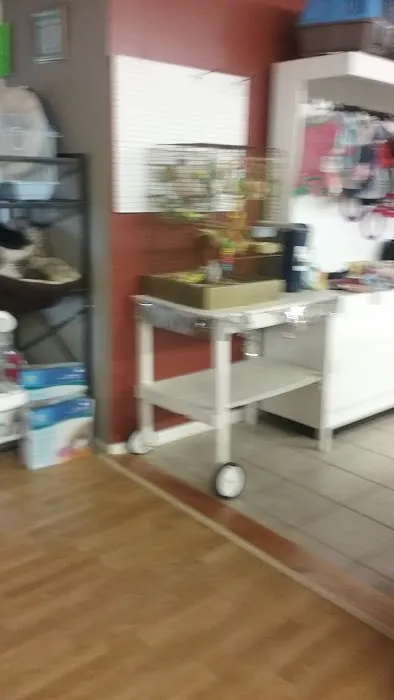 Country Village Animal Clinic Picture 3