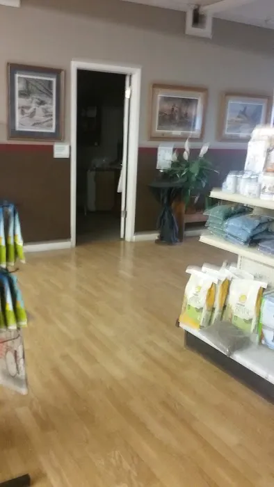 Country Village Animal Clinic Picture 4