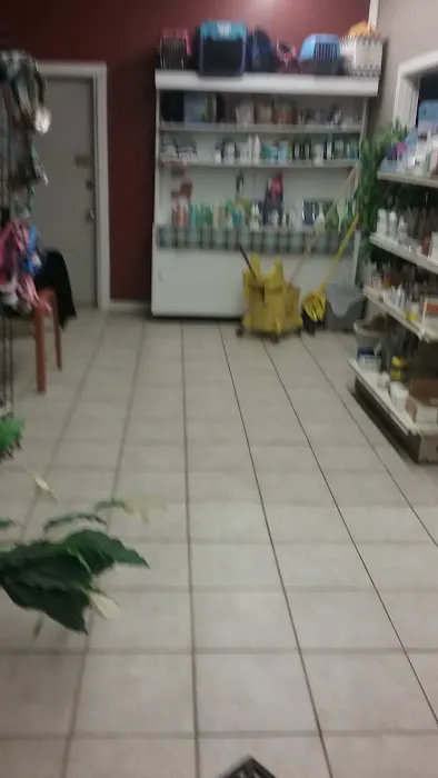 Country Village Animal Clinic Picture 7