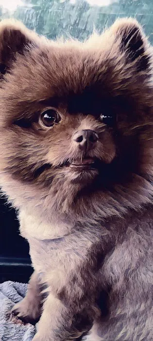 Country Village Animal Clinic Picture 9