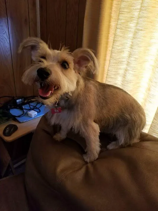 Clearview Animal Hospital Picture 2