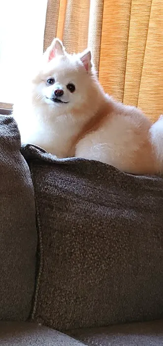 Clearview Animal Hospital Picture 5