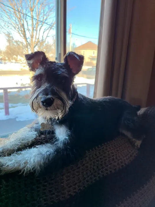 Clearview Animal Hospital Picture 6