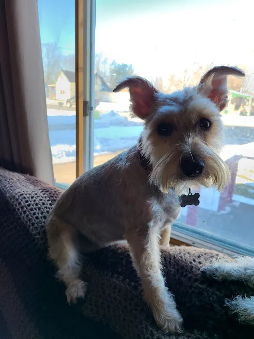 Clearview Animal Hospital Picture 4