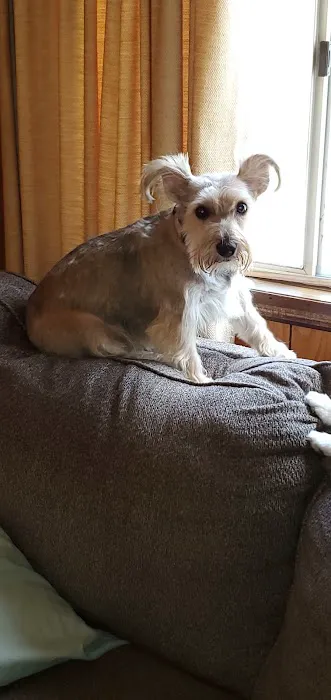 Clearview Animal Hospital Picture 7