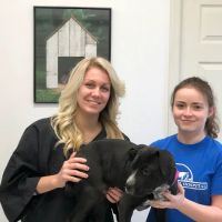 Parkside Animal Hospital ico