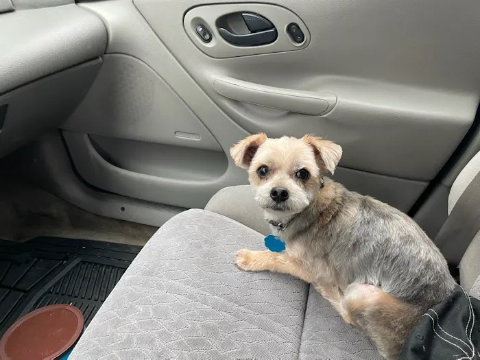 Memorial Drive Veterinary Clinic Picture 3