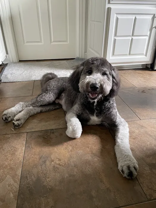 Memorial Drive Veterinary Clinic Picture 1