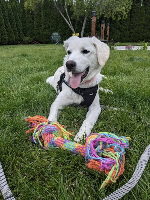 Memorial Drive Veterinary Clinic Picture 10