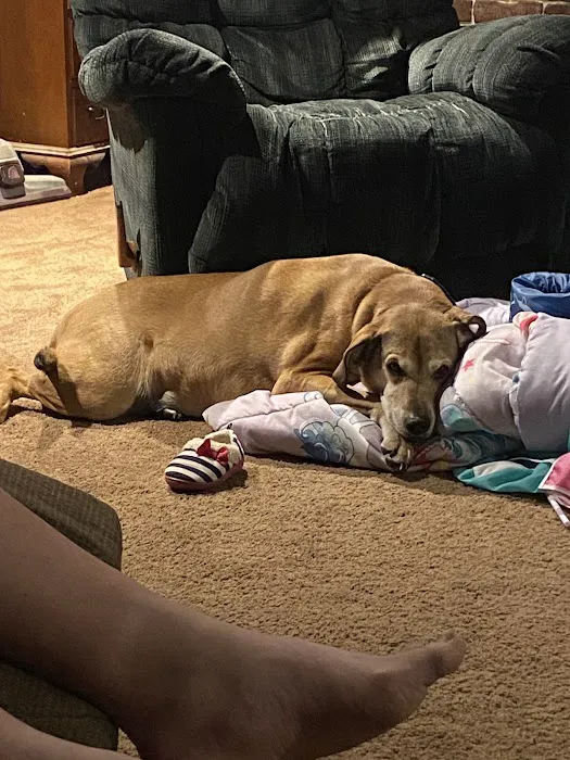 Memorial Drive Veterinary Clinic Picture 9