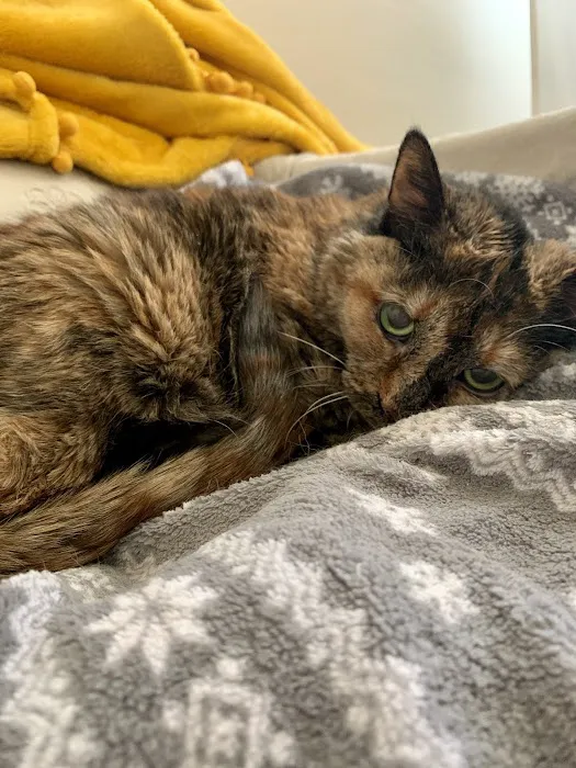 Port Cities Animal Hospital Picture 1