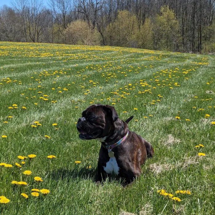 Port Cities Animal Hospital Picture 2