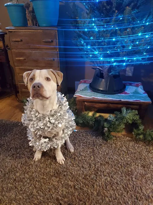 Port Cities Animal Hospital Picture 5