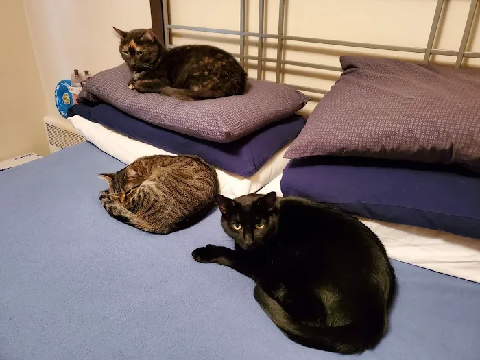 Port Cities Animal Hospital Picture 8