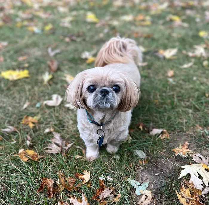 Port Cities Animal Hospital Picture 7