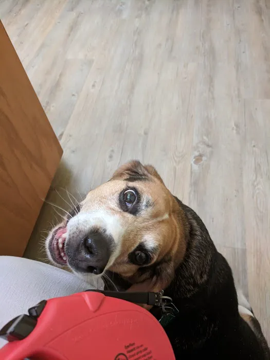 Wrightstown Veterinary Clinic Picture 1