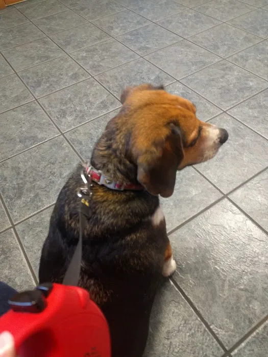 Wrightstown Veterinary Clinic Picture 3