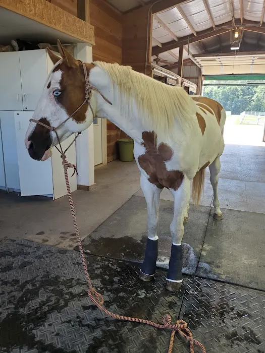 Palmer James, DVM Picture 2