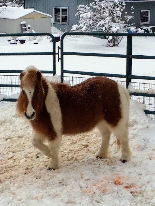 Palmer James, DVM Picture 1