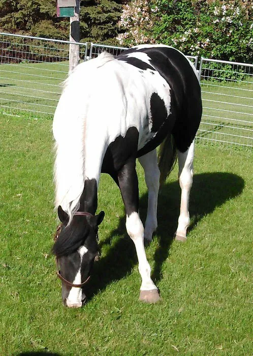 Palmer James, DVM Picture 3