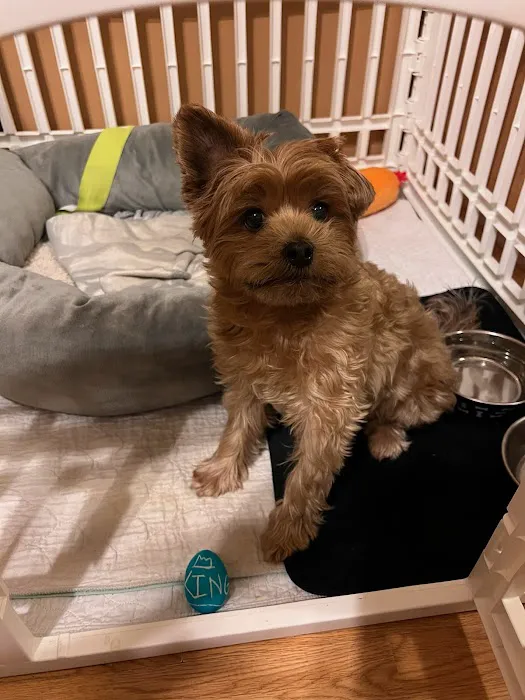 Brown Deer Animal Hospital LLC Picture 5