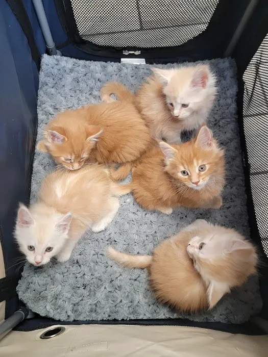 Brown Deer Animal Hospital LLC Picture 9