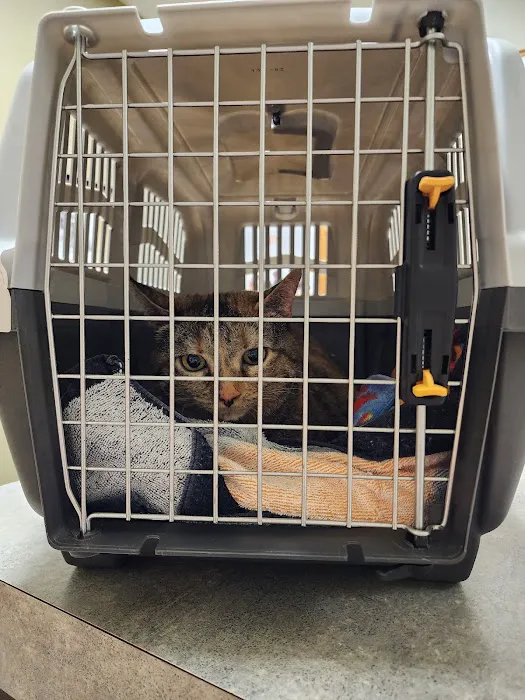 Northside Wesleyan Animal Hospital Picture 1