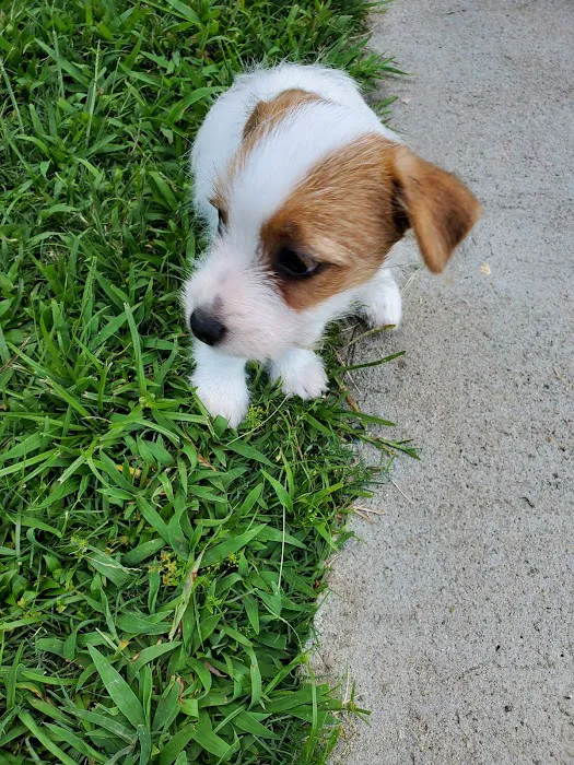 Northside Wesleyan Animal Hospital Picture 7