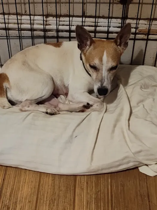 Northside Wesleyan Animal Hospital Picture 10