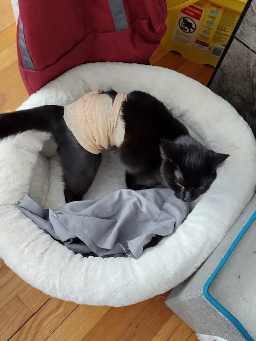 AVS Animal Hospital Picture 1