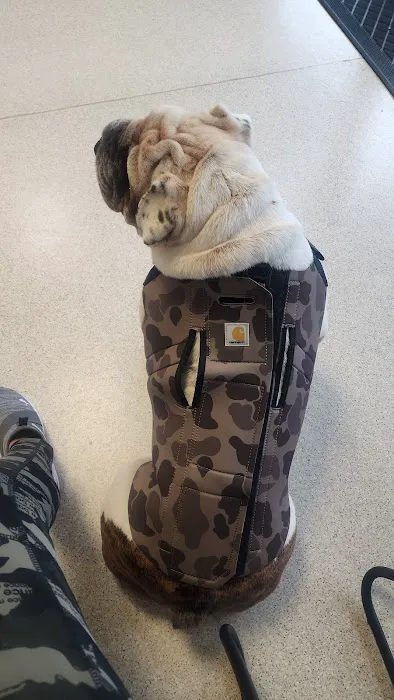 AVS Animal Hospital Picture 6