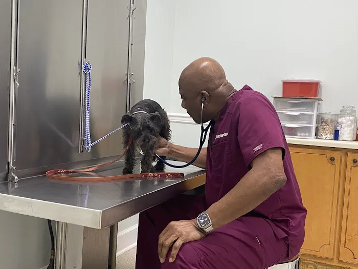 AVS Animal Hospital Picture 5