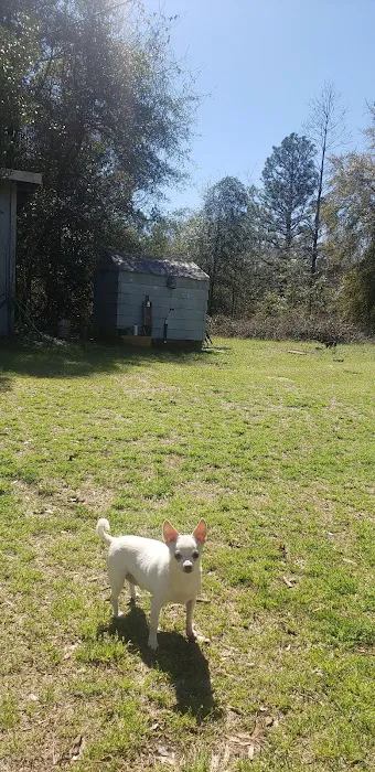 AVS Animal Hospital Picture 7