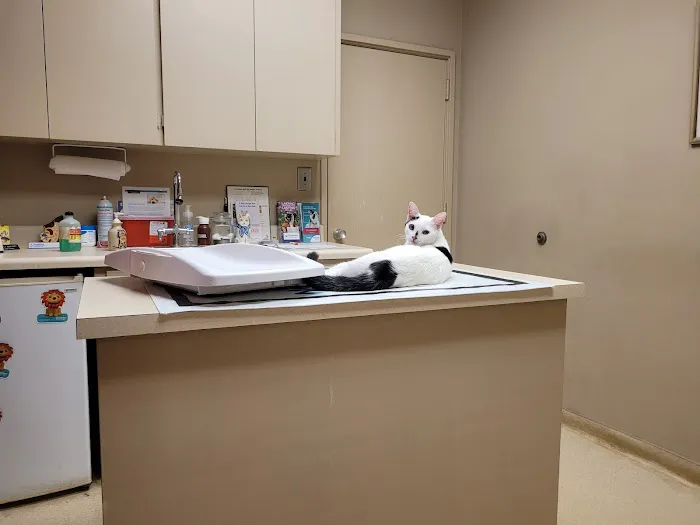 Riverside Animal Hospital Picture 2