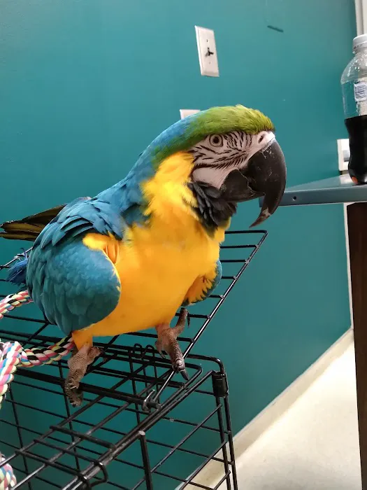 Riverside Animal Hospital Picture 1