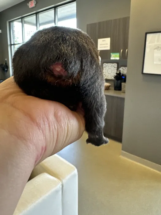 Riverside Animal Hospital Picture 4