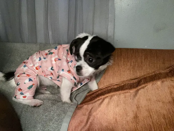 Riverside Animal Hospital Picture 7