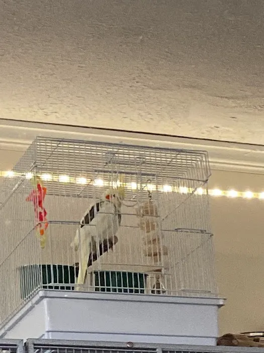 Riverside Animal Hospital Picture 9