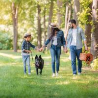 Hudspeth Animal Hospital ico