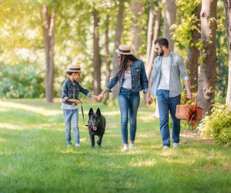 Hudspeth Animal Hospital