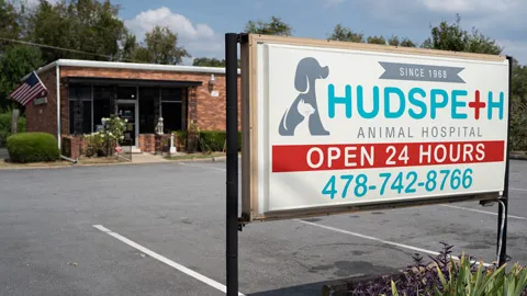 Hudspeth Animal Hospital Picture 3