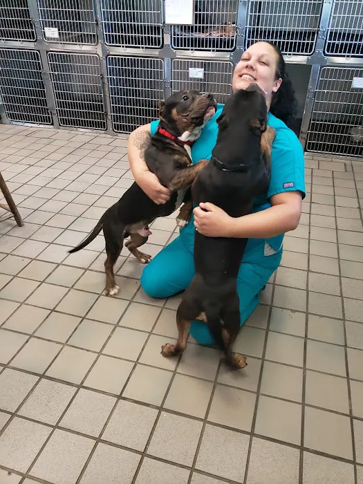 Hudspeth Animal Hospital Picture 9