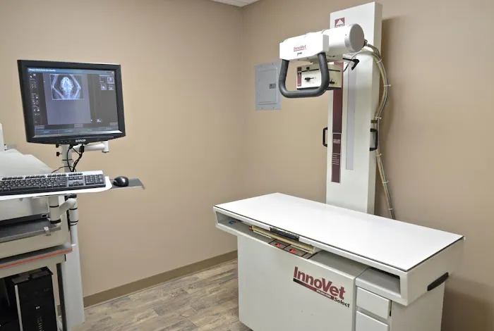 Pet Wellness Center of Southern Illinois Picture 2