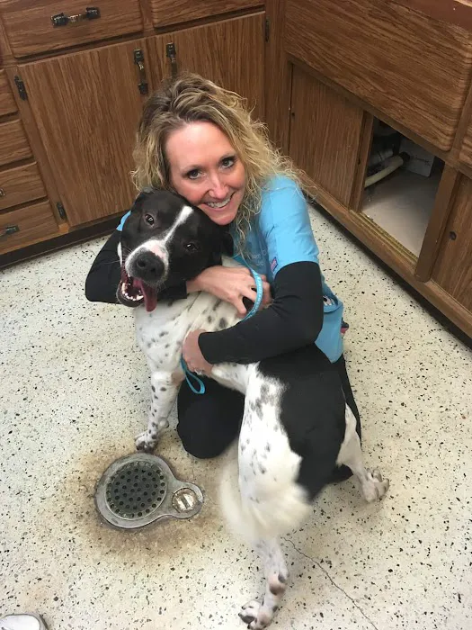 Effingham Veterinary Clinic Picture 4