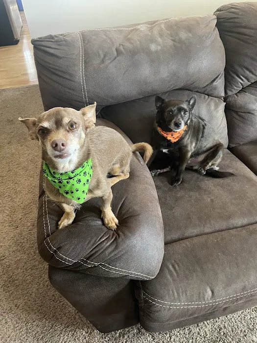 Effingham Veterinary Clinic Picture 5