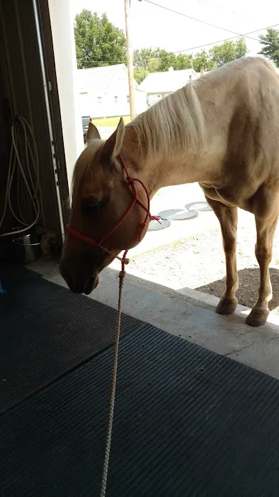 Advanced Veterinary Care, LLC Picture 1