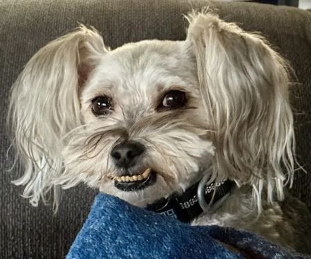 East-side Veterinary Clinic