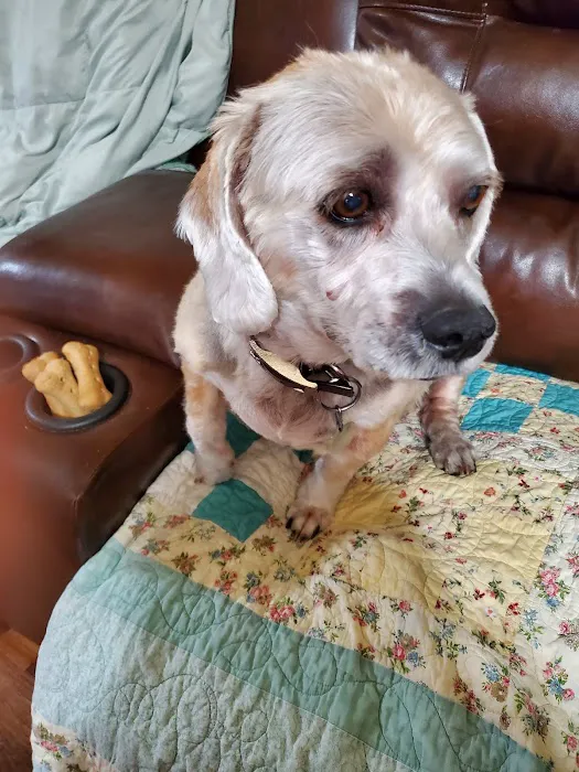 East-side Veterinary Clinic Picture 3