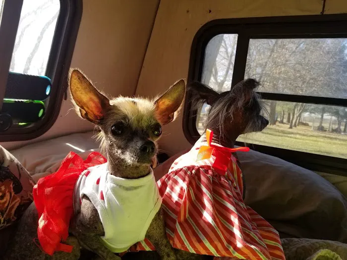 East-side Veterinary Clinic Picture 5